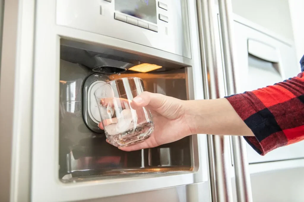 Keep the Ice Maker Clean